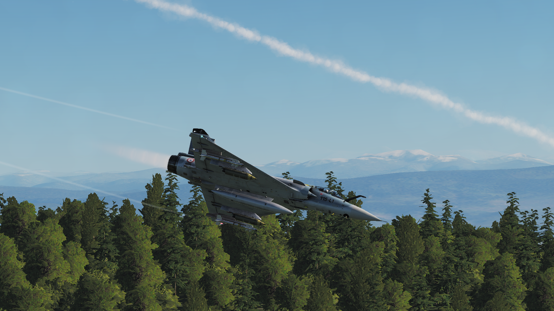 Down the rabbit hole: Combat Flight Simulation