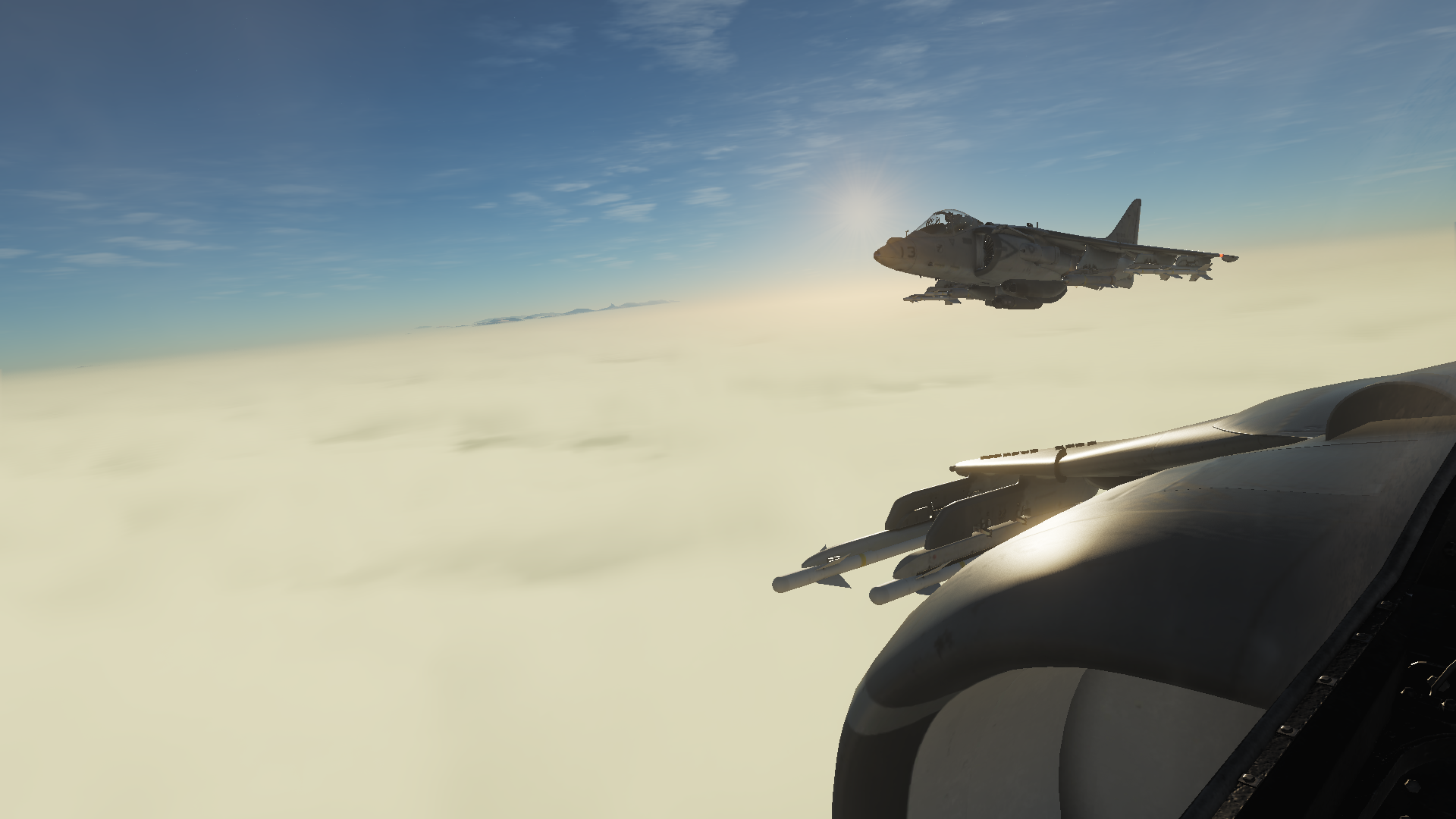 Down the rabbit hole: Combat Flight Simulation