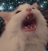Go to the profile of  BAZ