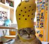 Go to the profile of  Kitt Spheromak: Space Pope