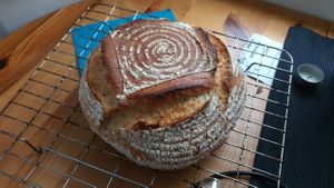 Ultimate Sourdough Guide
